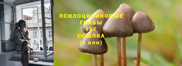 соль ск Верея