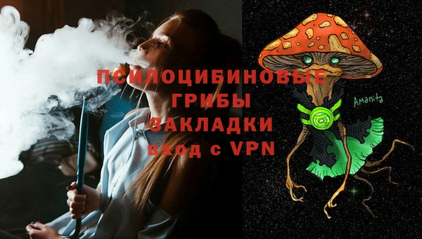 СК Волосово