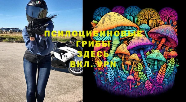 mdpv Володарск