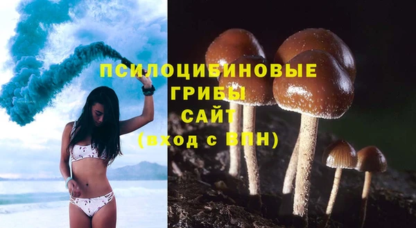mdpv Володарск