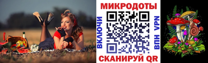 где найти наркотики  Ачхой-Мартан  Галлюциногенные грибы мицелий 